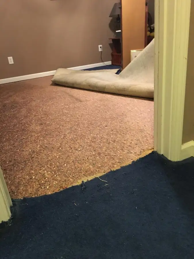 Carpet pad removal revealing water damage during Water Mitigation Services in New Berlin